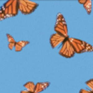 Meet your Posher, Ari